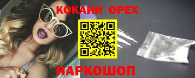 крисы Краснодар