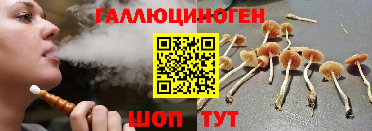 Псилоцибиновые грибы GOLDEN TEACHER Жуковский